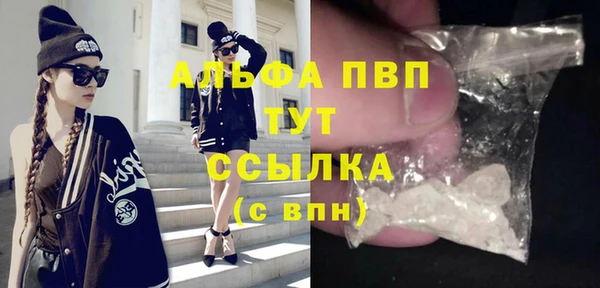 прущие грибы Каменск-Шахтинский