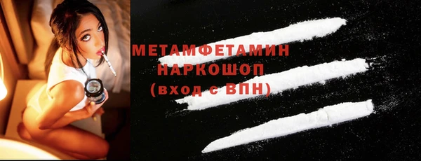 прущие грибы Каменск-Шахтинский