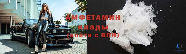прущие грибы Каменск-Шахтинский