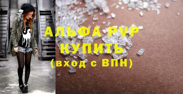 прущие грибы Каменск-Шахтинский