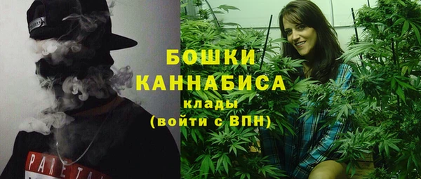 прущие грибы Каменск-Шахтинский