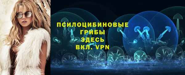 соль ск Барнаул
